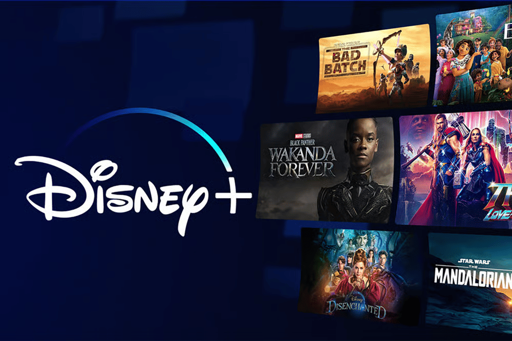 Disney+ Premium 12m Account